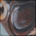 Augenblick eines Tausendfüßlers; Acryl auf Leinwand;
30 x 30 cm